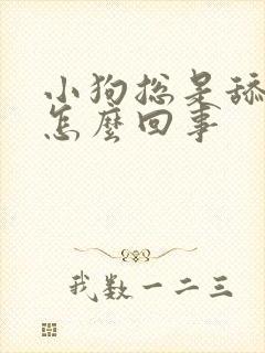 小狗总是舔爪子怎么回事