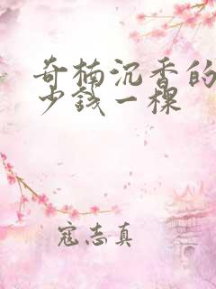 奇楠沉香的苗多少钱一棵