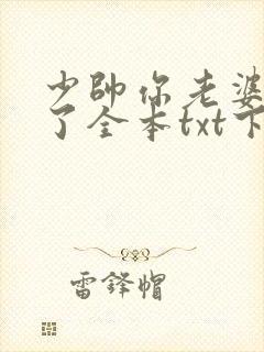少帅你老婆又跑了全本txt下载