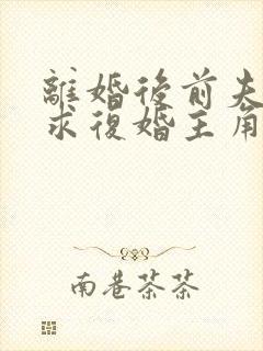 离婚后前夫哭着求复婚主角