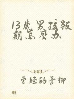 13岁男孩叛逆期怎么办