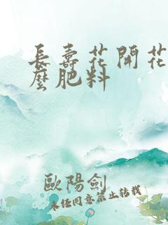 长寿花开花用什么肥料