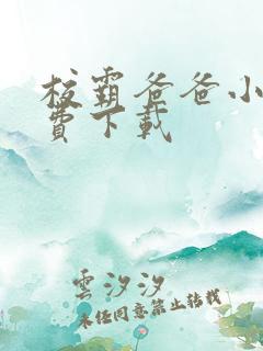 校霸爸爸小说免费下载