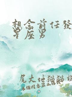 想念前任发狂的星座男