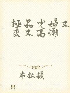 极品少妇又色又爽又高潮