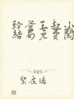 干爸王叔小说大结局免费阅读