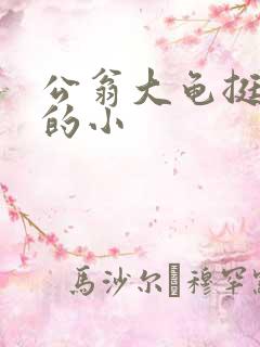 公翁大龟挺进我的小