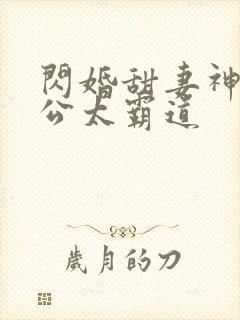 闪婚甜妻神秘老公太霸道