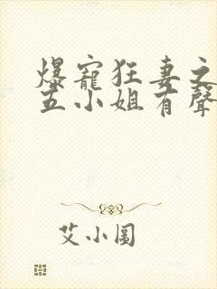 爆宠狂妻之神医五小姐有声小说