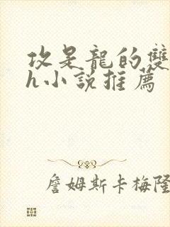 攻是龙的双男主h小说推荐