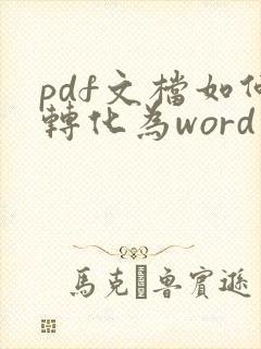 pdf文档如何转化为word文档