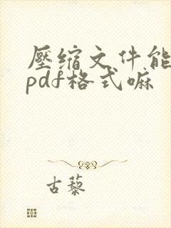压缩文件能转换pdf格式嘛