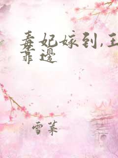 毒妃嫁到,王爷靠边
