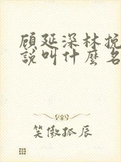 顾延深林挽音小说叫什么名字