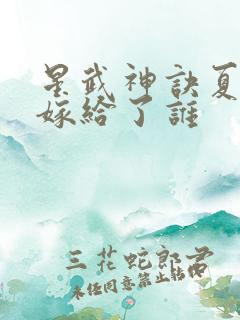 星武神诀夏雨凝嫁给了谁