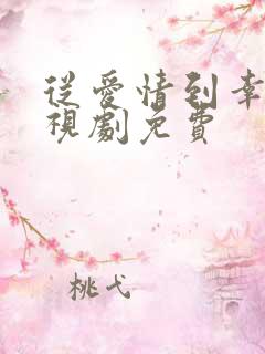 从爱情到幸福电视剧免费