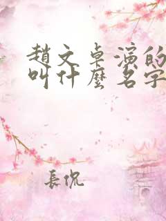 赵文卓演的苏灿叫什么名字电影