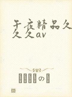 午夜精品久久久久久av