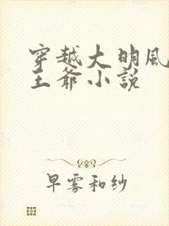 穿越大明风华四王爷小说