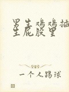 男生鸡鸡插进男生屁股里