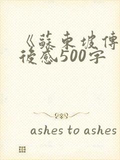 《苏东坡传》读后感500字