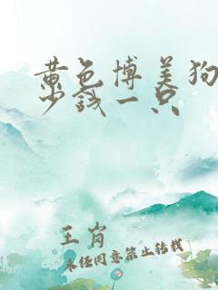 黄色博美狗狗多少钱一只