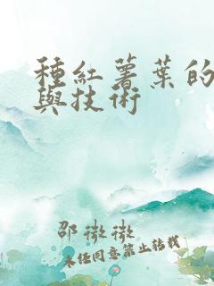种红薯叶的方法与技术