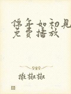 锦年如初见短剧免费播放