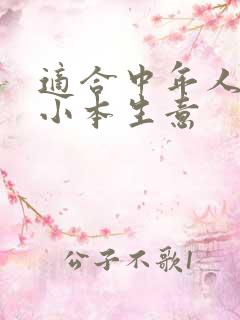 适合中年人创业小本生意