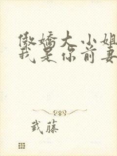 傲娇大小姐总裁我是你前妻