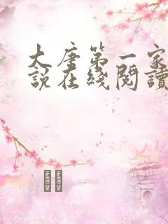 大唐第一家丁小说在线阅读