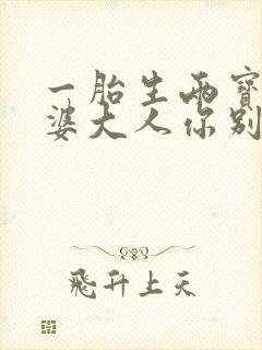 一胎生两宝,老婆大人你别逃