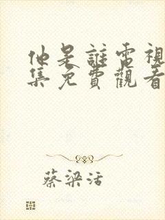 他是谁电视剧全集免费观看完整版