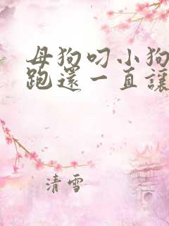 母狗叼小狗到处跑还一直让小狗叫
