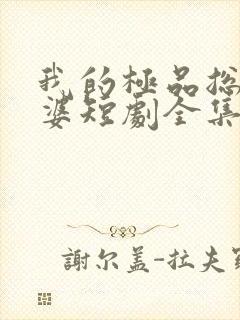 我的极品总裁老婆短剧全集免费