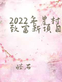 2022年农村致富新项目