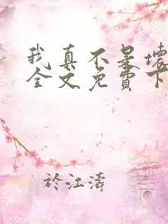 我真不是坏男人全文免费下载