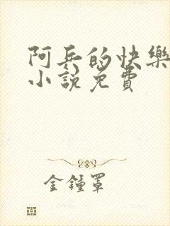 阿兵的快乐生活小说免费