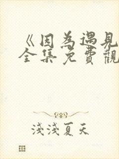《因为遇见你》全集免费观看