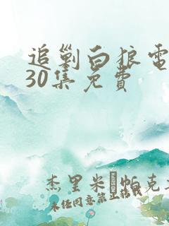 追剿白狼电视剧30集免费