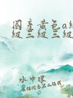 国产黄色a级三级三级三级