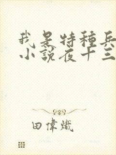 我是特种兵杨洛小说夜十三