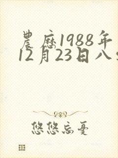 农历1988年12月23日八字算命