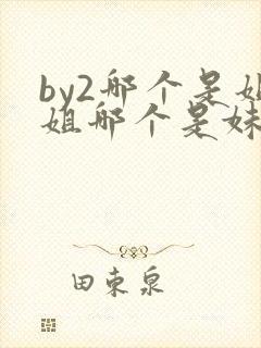 by2哪个是姐姐哪个是妹妹