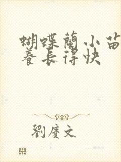 蝴蝶兰小苗怎么养长得快