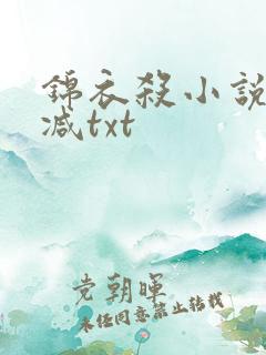 锦衣杀小说未删减txt