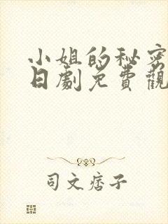 小姐的秘密生活日剧免费观看全集