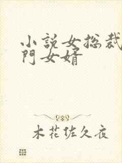小说女总裁的上门女婿