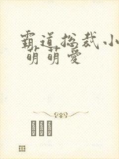 霸道总裁小娇妻 萌萌爱