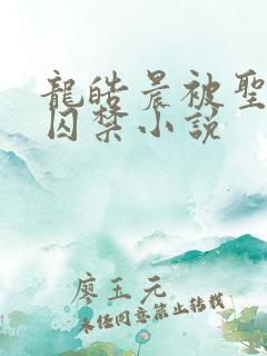 龙皓晨被圣采儿囚禁小说